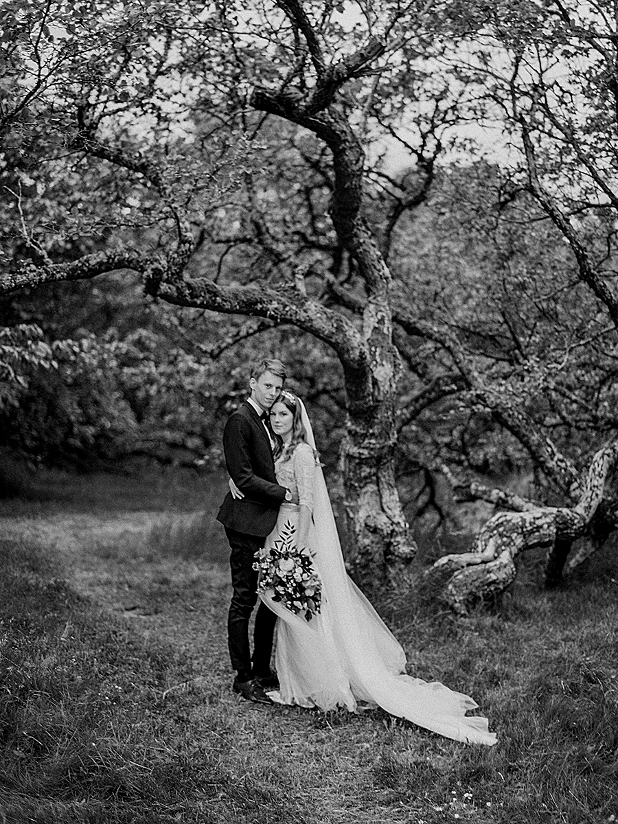 Bride and groom in dead forest of silk trees Visingsö Sweden